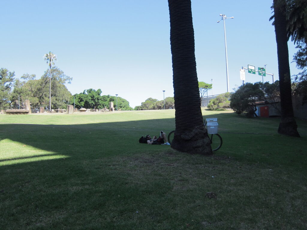 IMG_3381.JPG IMG_3381.JPG