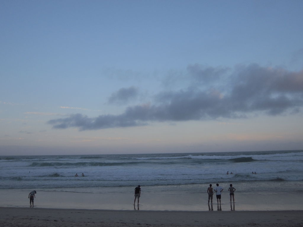 IMG_4056.JPG IMG_4056.JPG