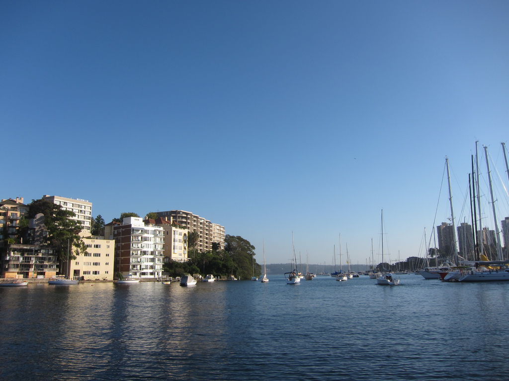 IMG_3547.JPG IMG_3547.JPG