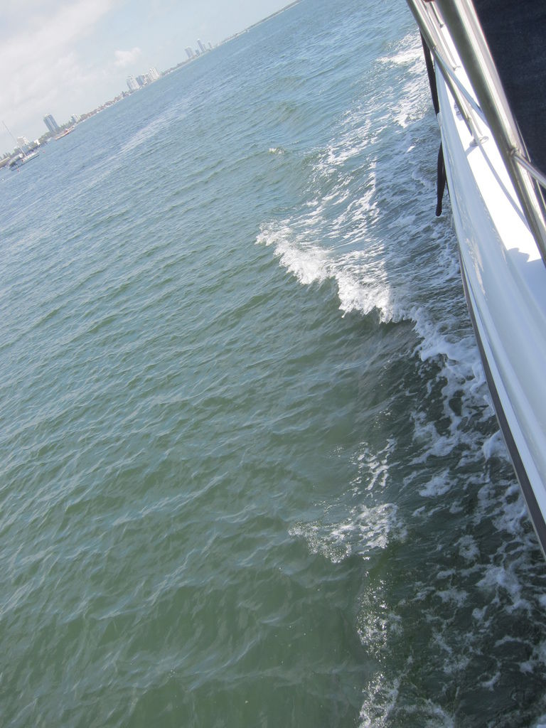 IMG_3917.JPG IMG_3917.JPG