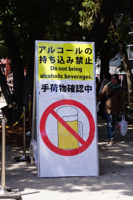 sakura120407_005 sakura120407_005