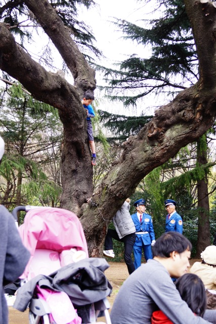 sakura120407_010 sakura120407_010