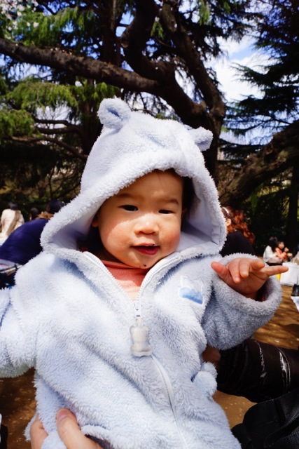 sakura120407_021 sakura120407_021