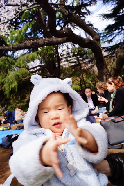 sakura120407_020 sakura120407_020