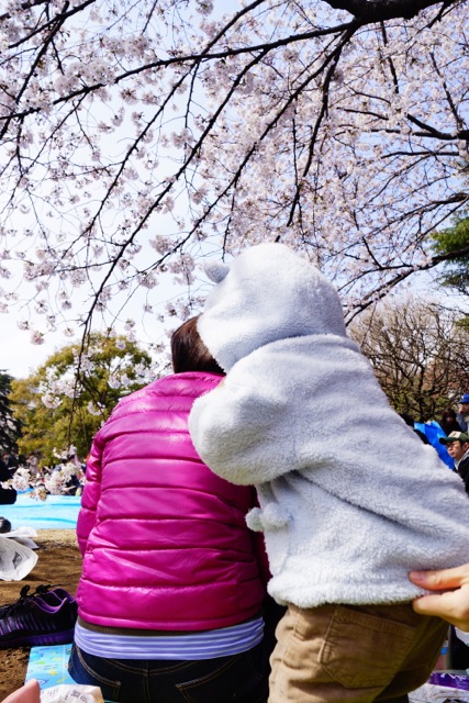 sakura120407_022 sakura120407_022