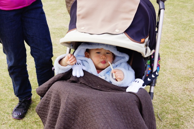 sakura120407_028 sakura120407_028