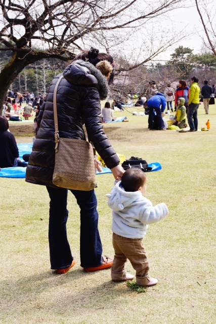 sakura120407_035 sakura120407_035