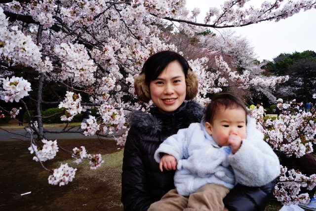 sakura120407_062 sakura120407_062