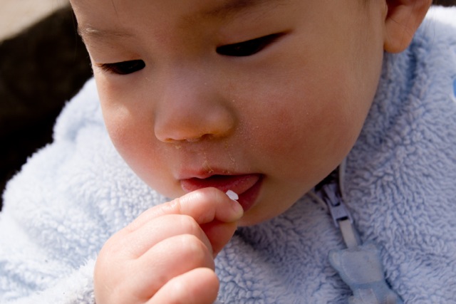 sakura120410_21 sakura120410_21