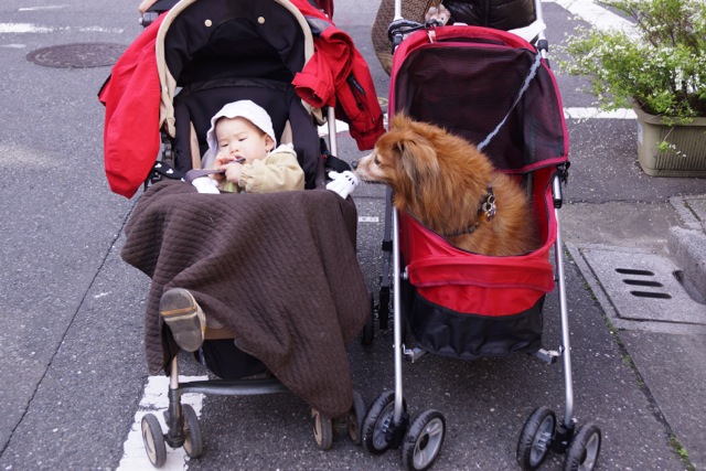 sukura0415_07 sukura0415_07