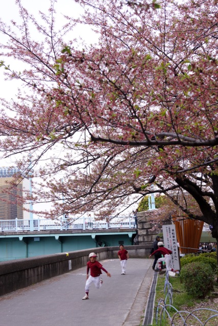 sukura0415_16 sukura0415_16