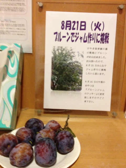 2012_8_81