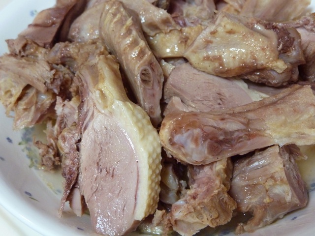 duck7.jpg duck7.jpg