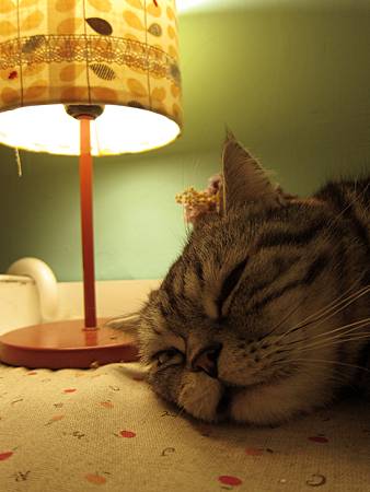 20120218私藏不藏私 20120218私藏不藏私