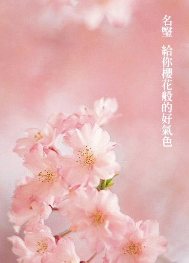 櫻花雷射
