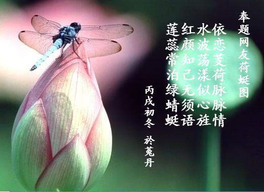 為什麼愛一個人不一定要擁有？
