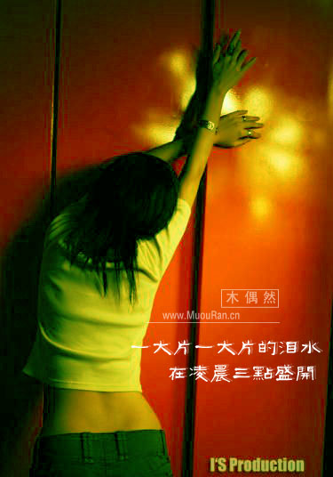 2008112022131651.jpg
