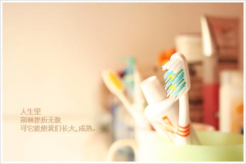 人生裡.荊棘挫敗無數.它可以使我們長大成熟