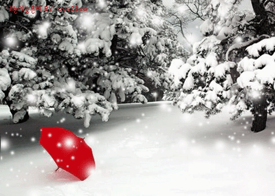 2009121915143936553.gif