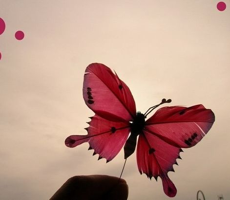 280_2009070901580914W5y.jpg