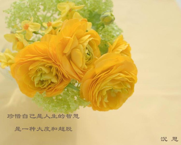 cpb3_200732614424717788.jpg