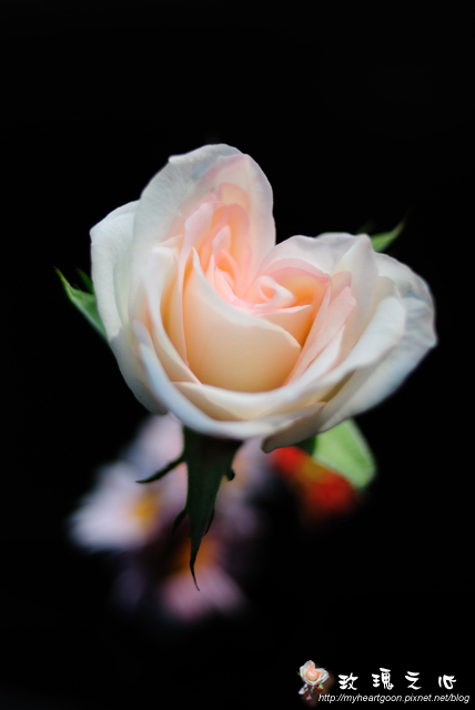 DSC_7341.jpg DSC_7341.jpg