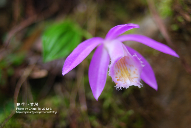 DSC_7609 DSC_7609