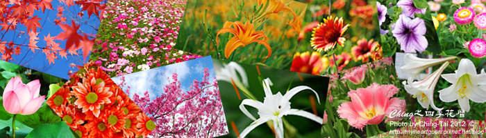 四季花曆一覽表 四季花曆一覽表