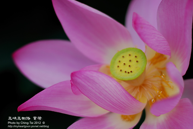 DSC_5389 DSC_5389