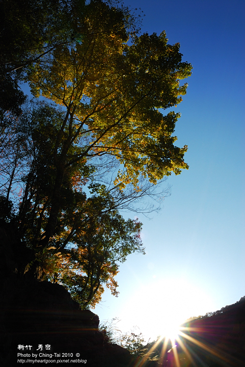 DSC_1545 DSC_1545