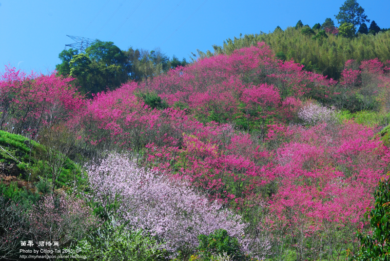 DSC_1123 DSC_1123