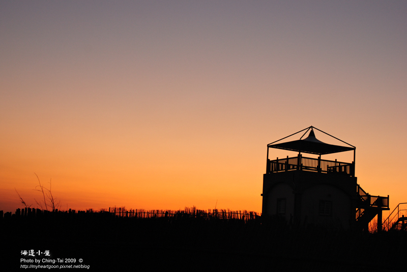 DSC_8104 DSC_8104