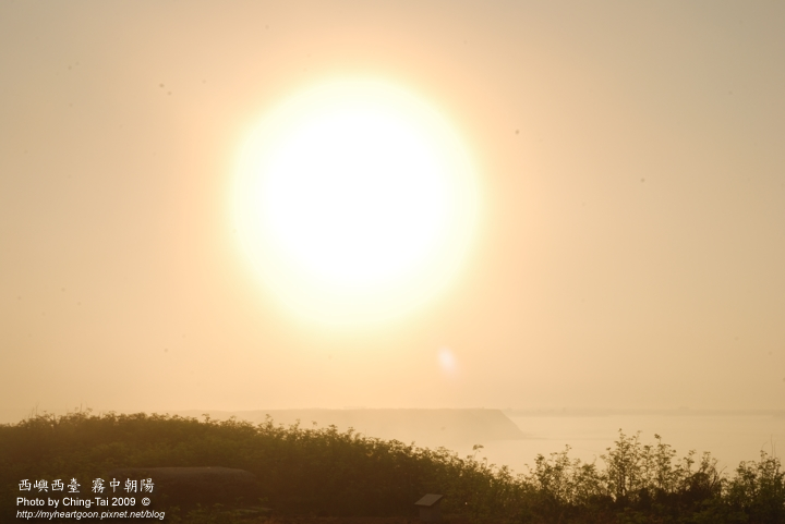 DSC_2912 DSC_2912