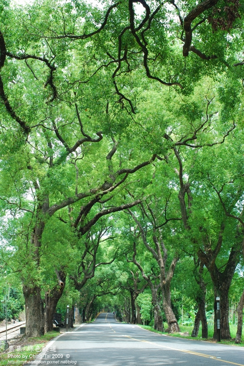 DSC_9699 DSC_9699