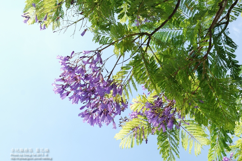 DSC_5084 DSC_5084