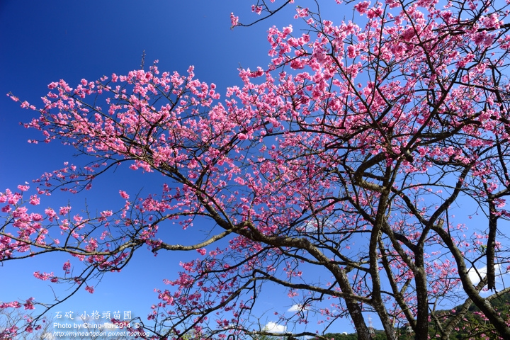 TAI_2010.jpg TAI_2010.jpg