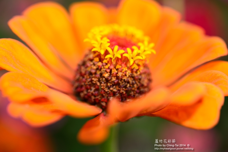 TAI_5176.jpg TAI_5176.jpg