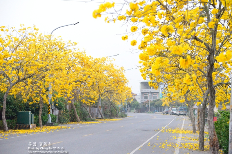 TAI_8226.jpg TAI_8226.jpg