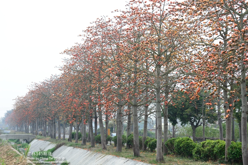 TAI_8430.jpg TAI_8430.jpg