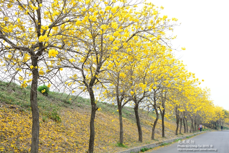 TAI_8502.jpg TAI_8502.jpg