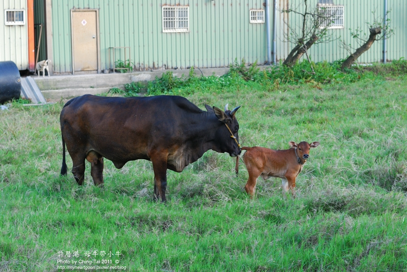 DSC_2411.jpg DSC_2411.jpg