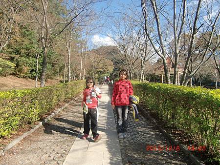 CIMG4915.JPG CIMG4915.JPG