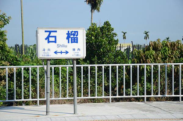 DSC_3307 DSC_3307