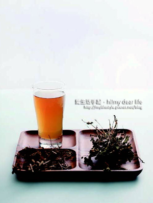 含羞草 含羞草