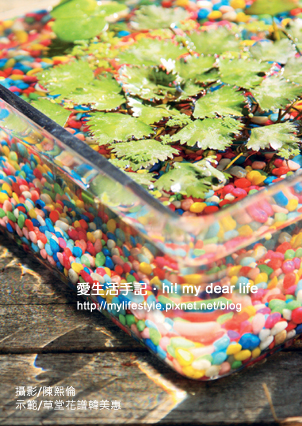IMG_1594拷貝.jpg IMG_1594拷貝.jpg