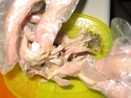 1000803 075.jpg 1000803 075.jpg