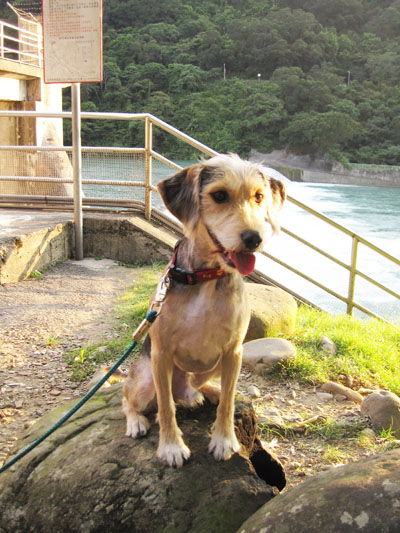 1000803 056.jpg 1000803 056.jpg