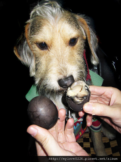 IMG_2592.jpg IMG_2592.jpg