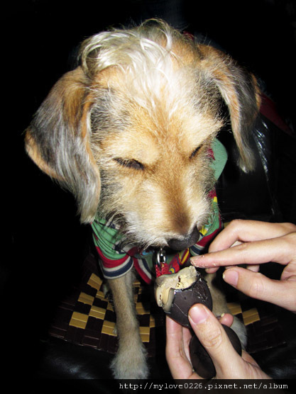 IMG_2588.jpg IMG_2588.jpg