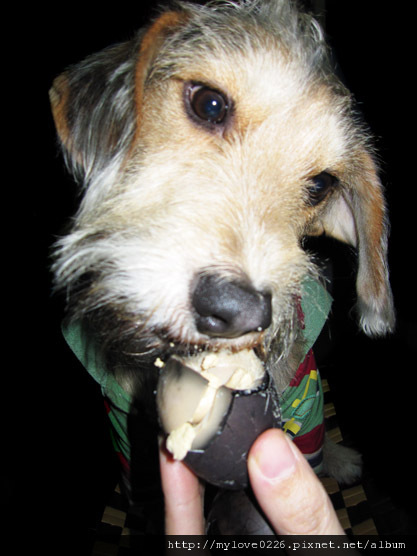 IMG_2589.jpg IMG_2589.jpg